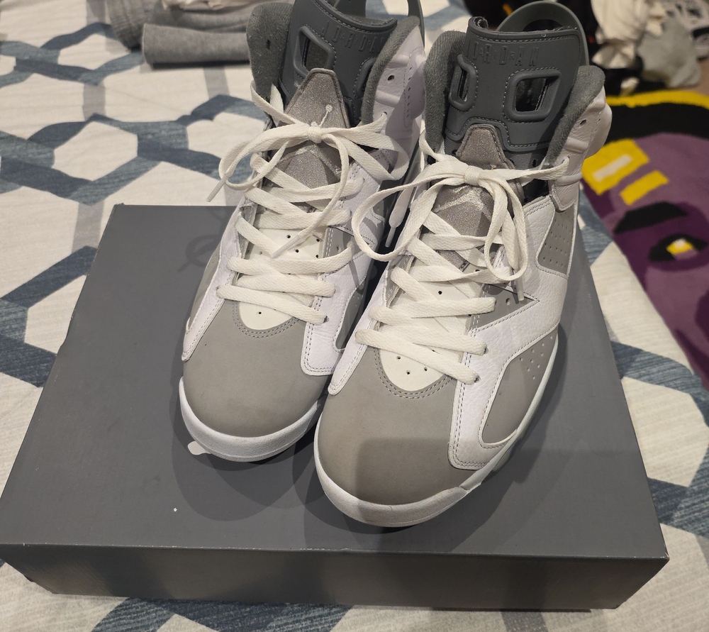 Jordan 6 Cool Gray